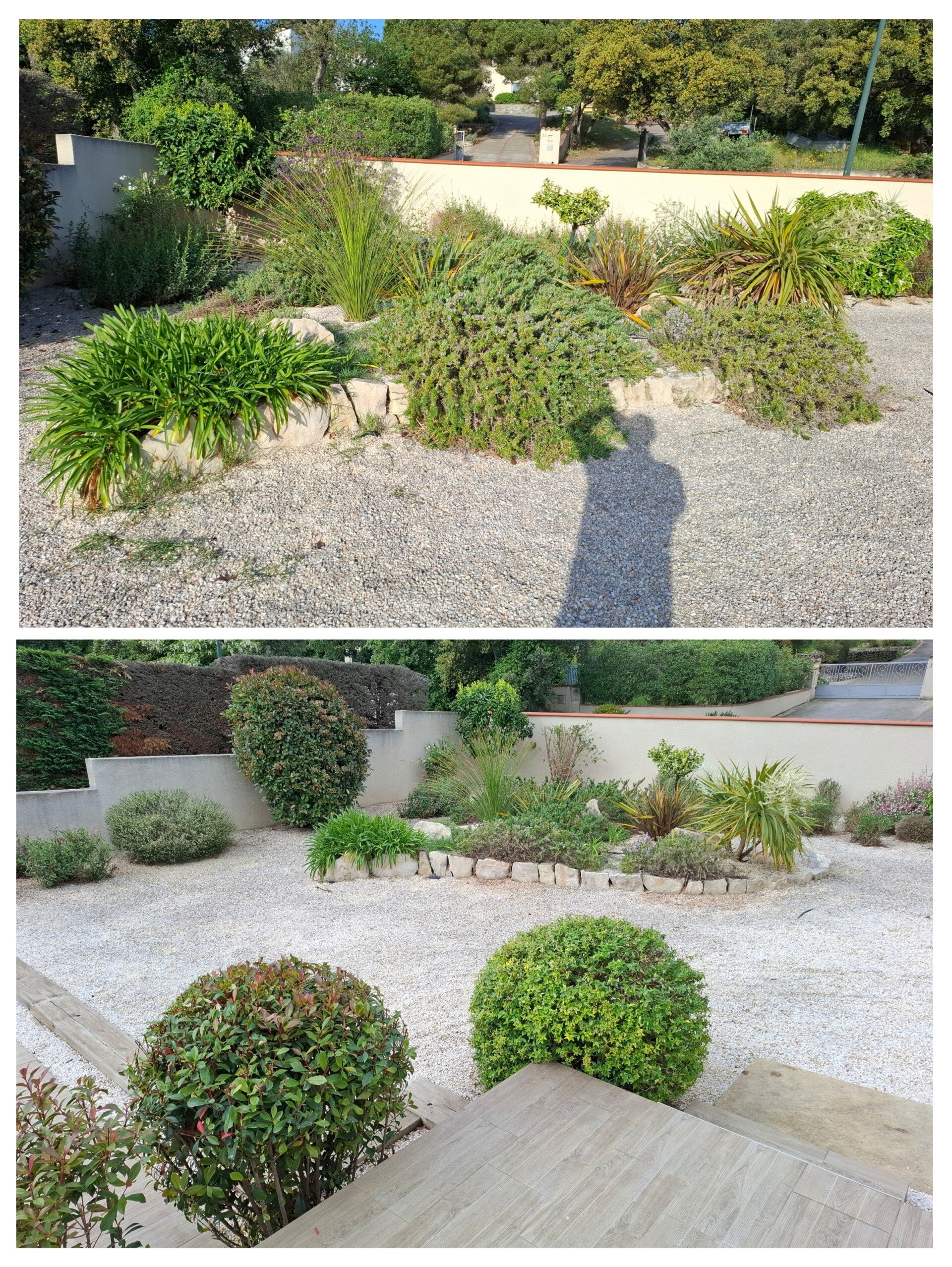 20260422_161839-collage-1-standard.jpg