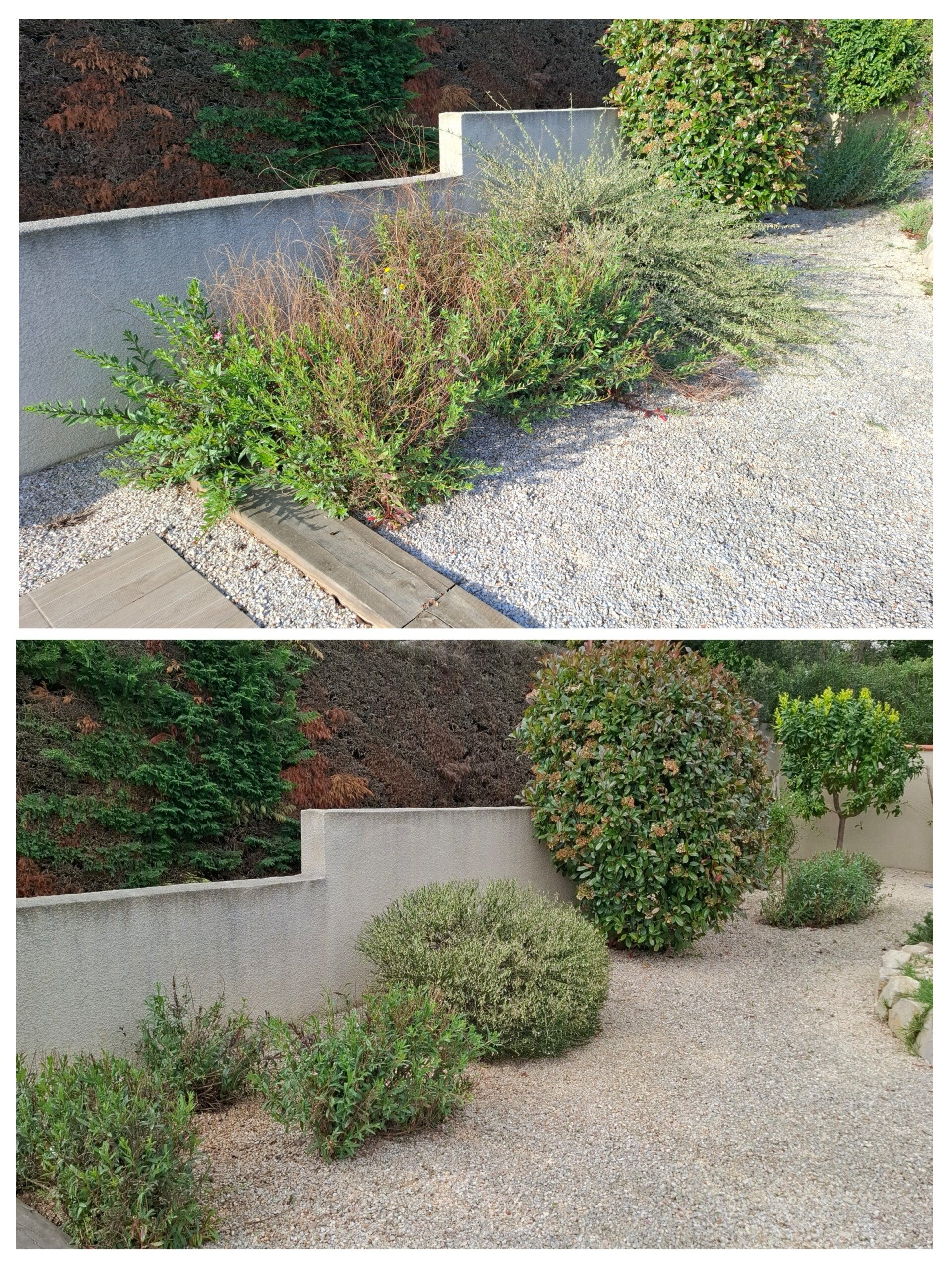 20260422_161932-collage-1-standard.jpg