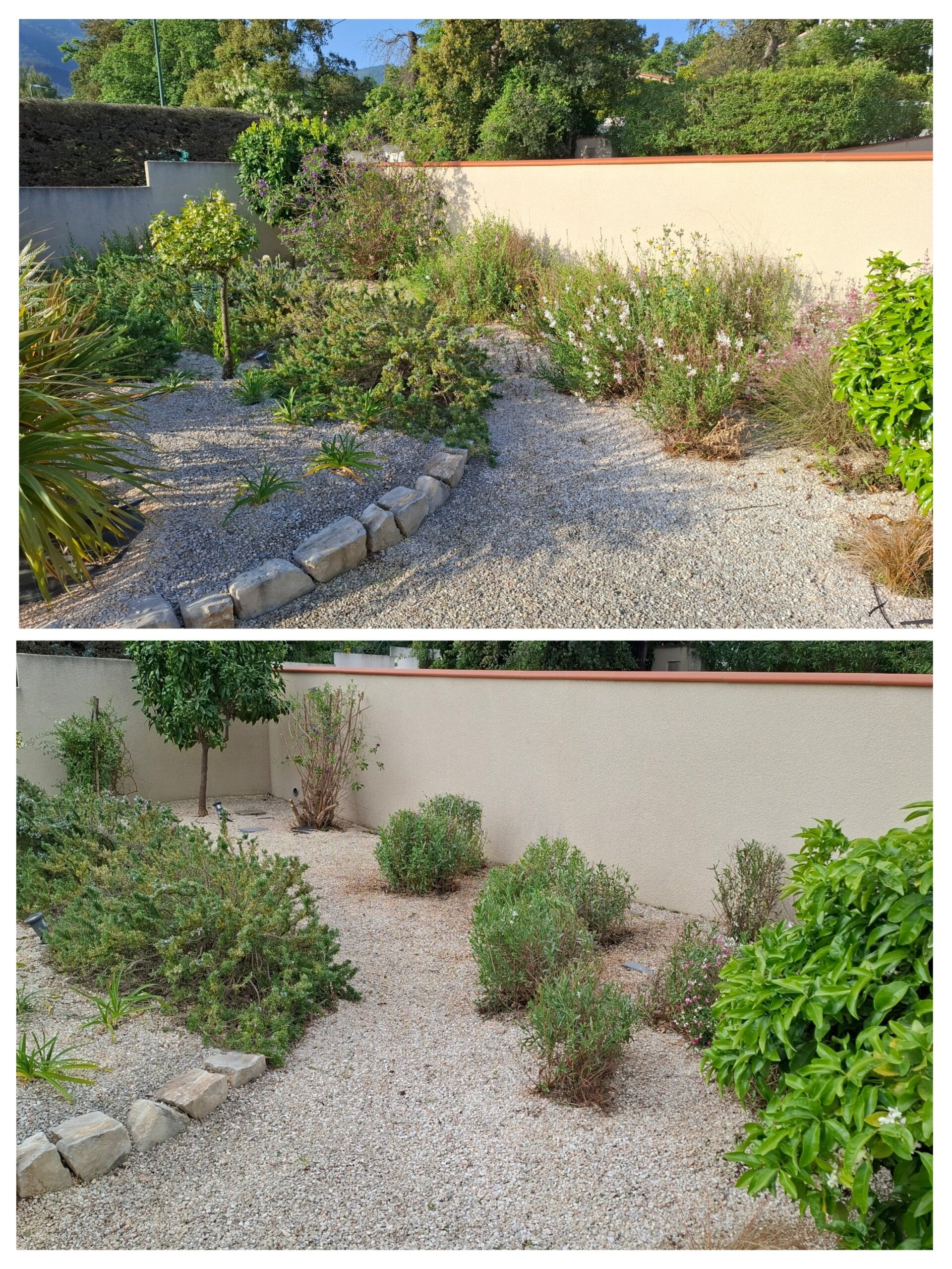 20260422_162004-collage-1-standard.jpg