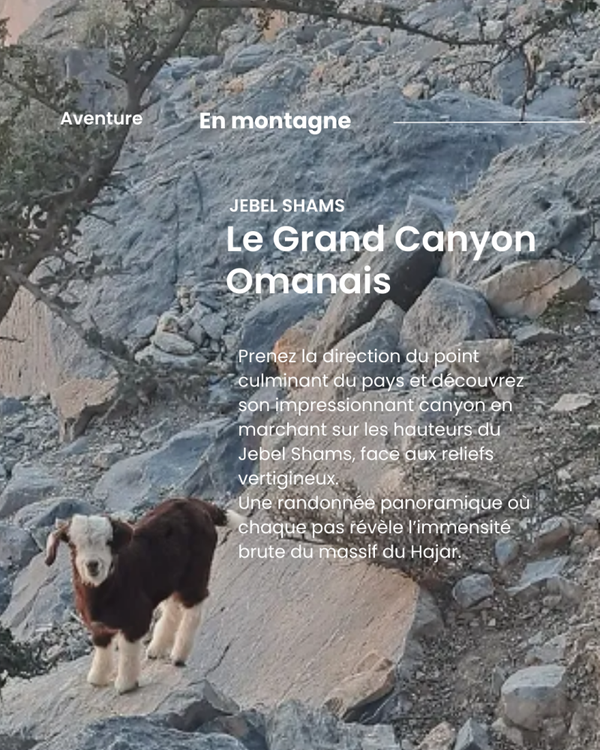 Jebel Shams - Le Grand Canyon Omanais