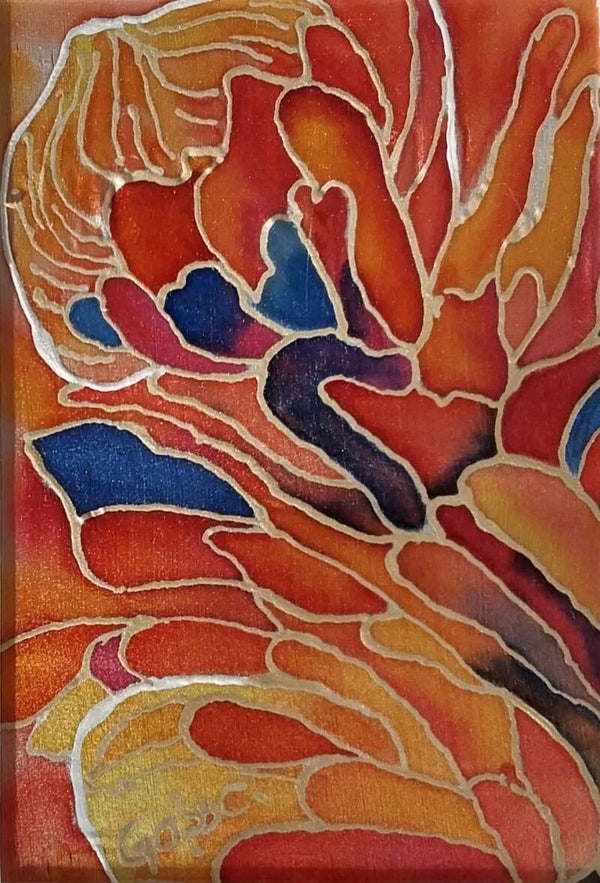 Protea - A Flower in Colour