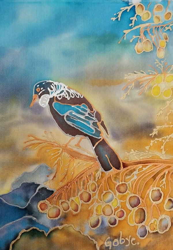 Tūī in the Sun