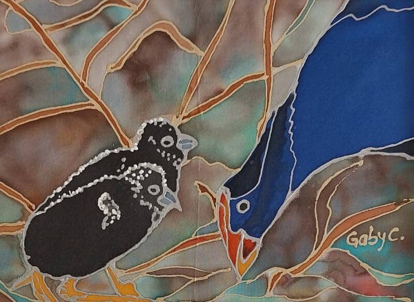 Pūkeko Family