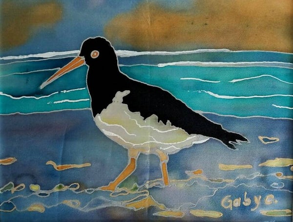 Oyster Catcher