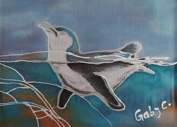 Blue Penguin -Kororā - Swimming