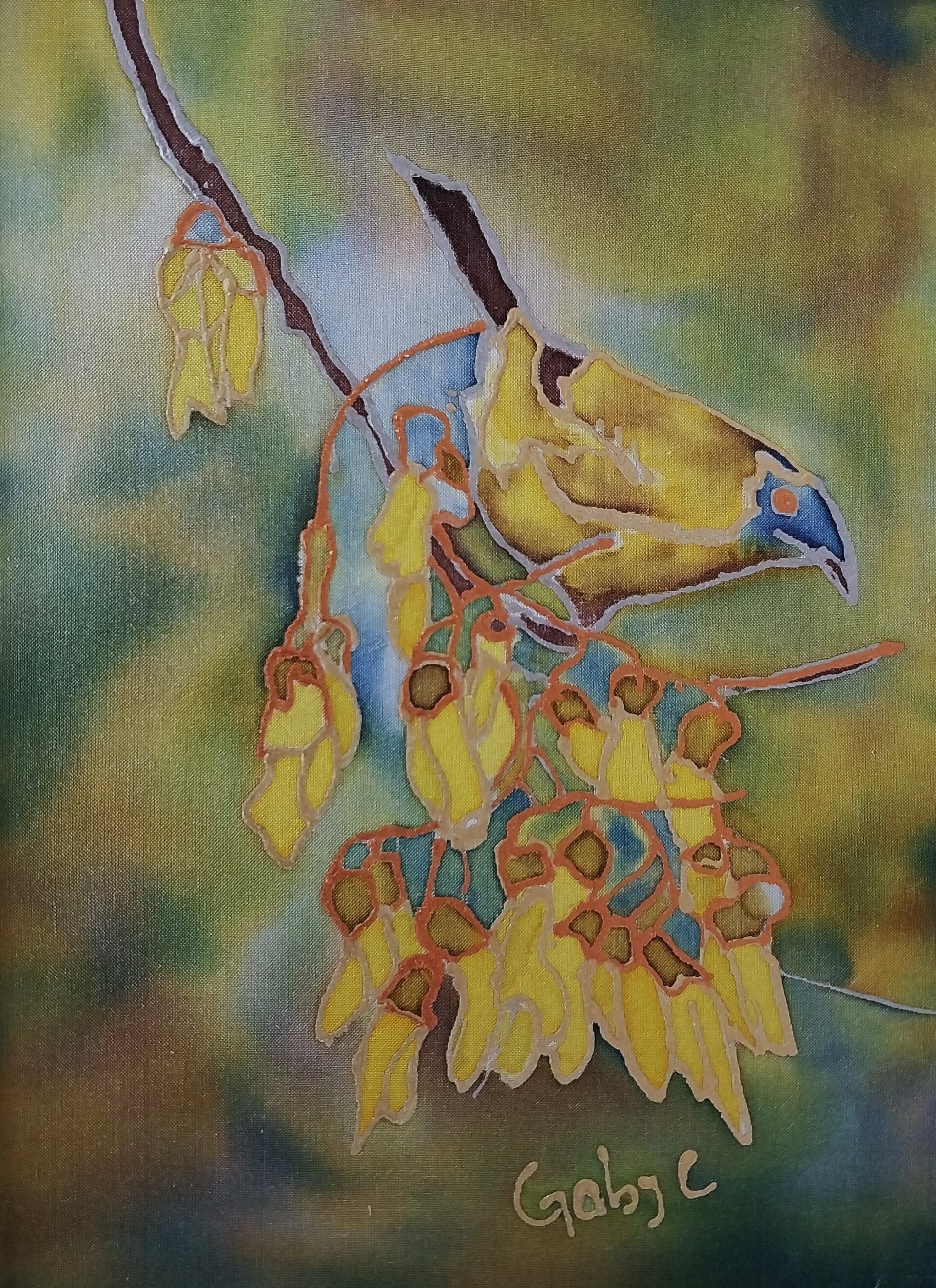 Bellbird on a Kōwhai Branch