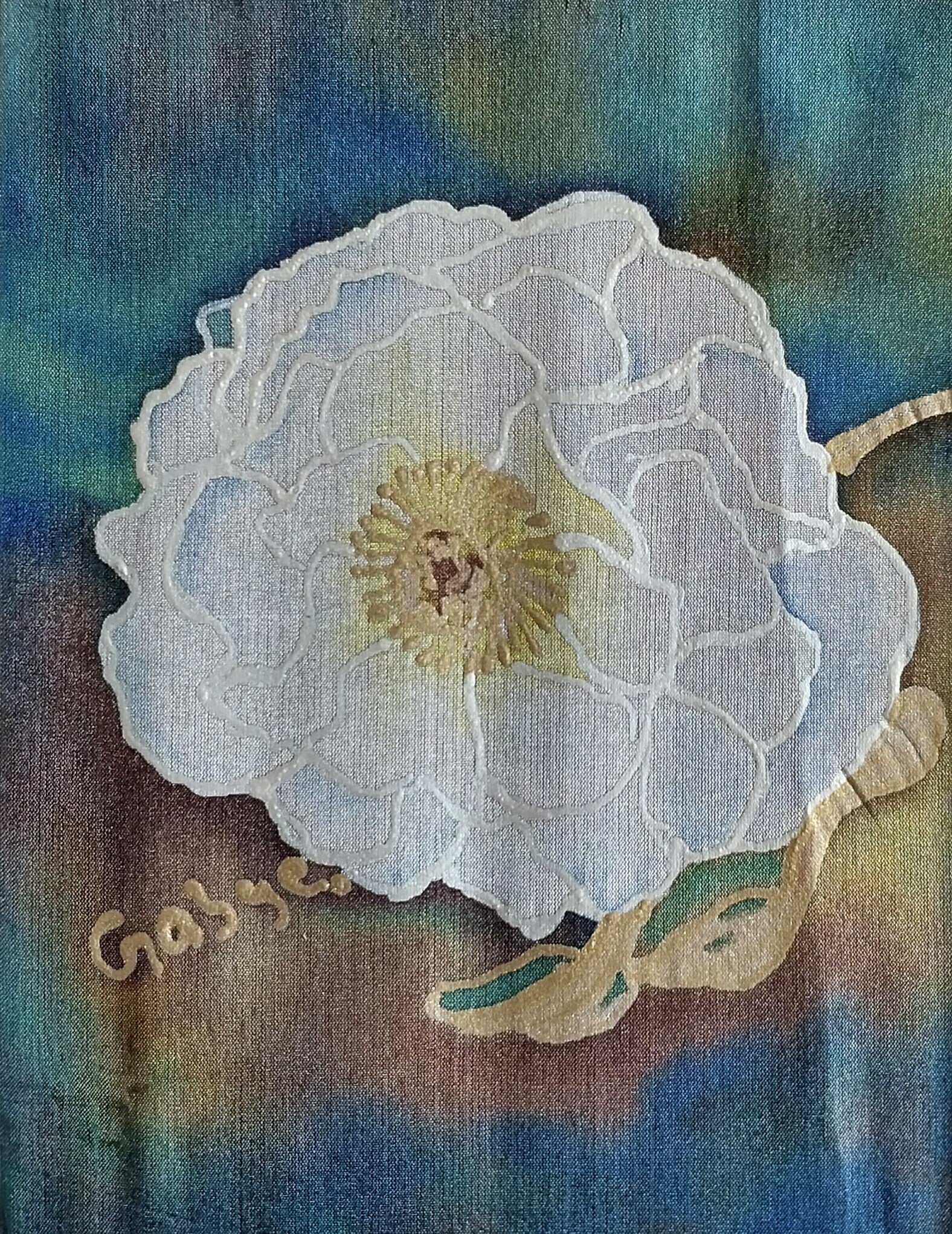Mt Cook Lily - Delicate Flower