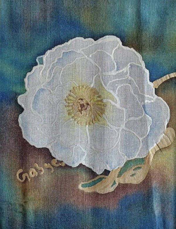 Mt Cook Lily - Delicate Flower