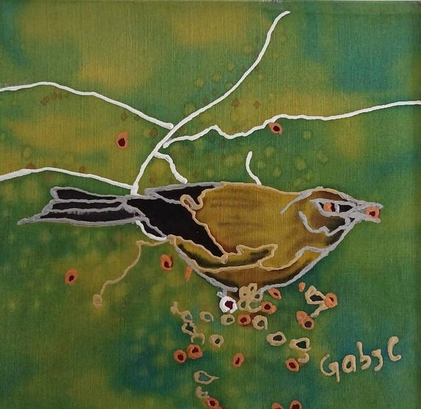 BellBird in the Forest