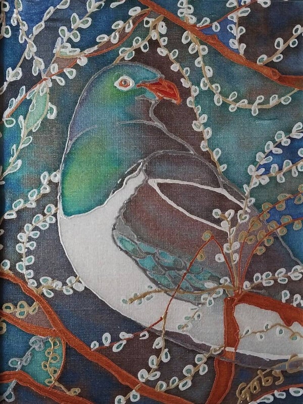Kererū in the Forest
