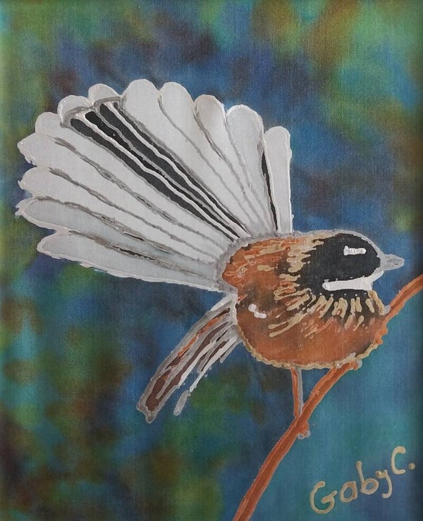 Fantail - Curious
