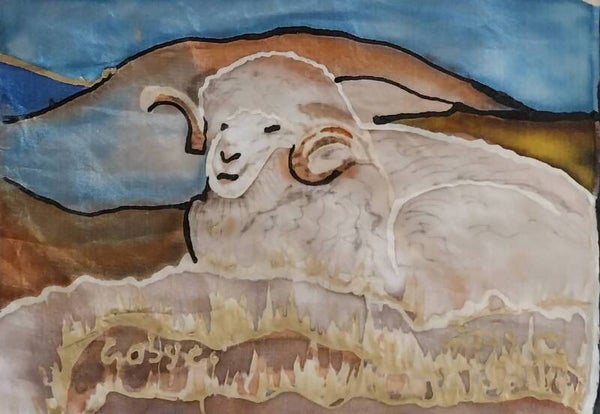 Merino - A Moment of Rest