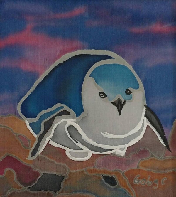 Blue Penguin – Kororā - Sitting