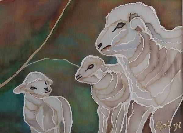 Merino Lambs in the Mountains