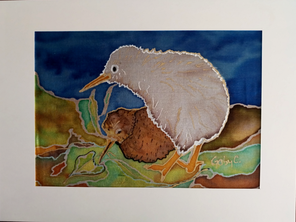 White and Brown Kiwi