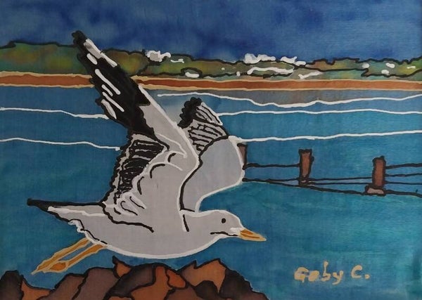 Timaru Beach - Gull