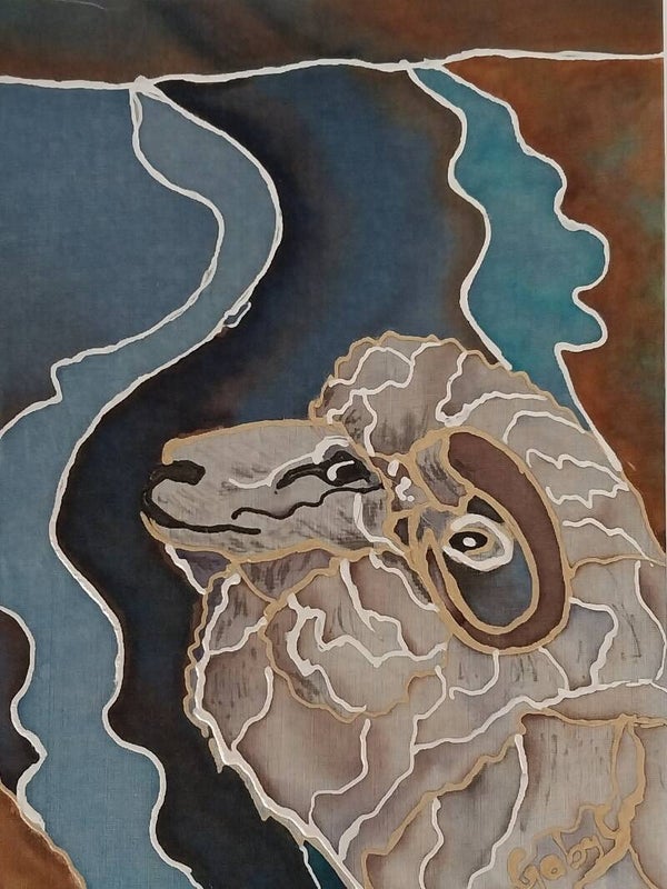 Merino Portrait