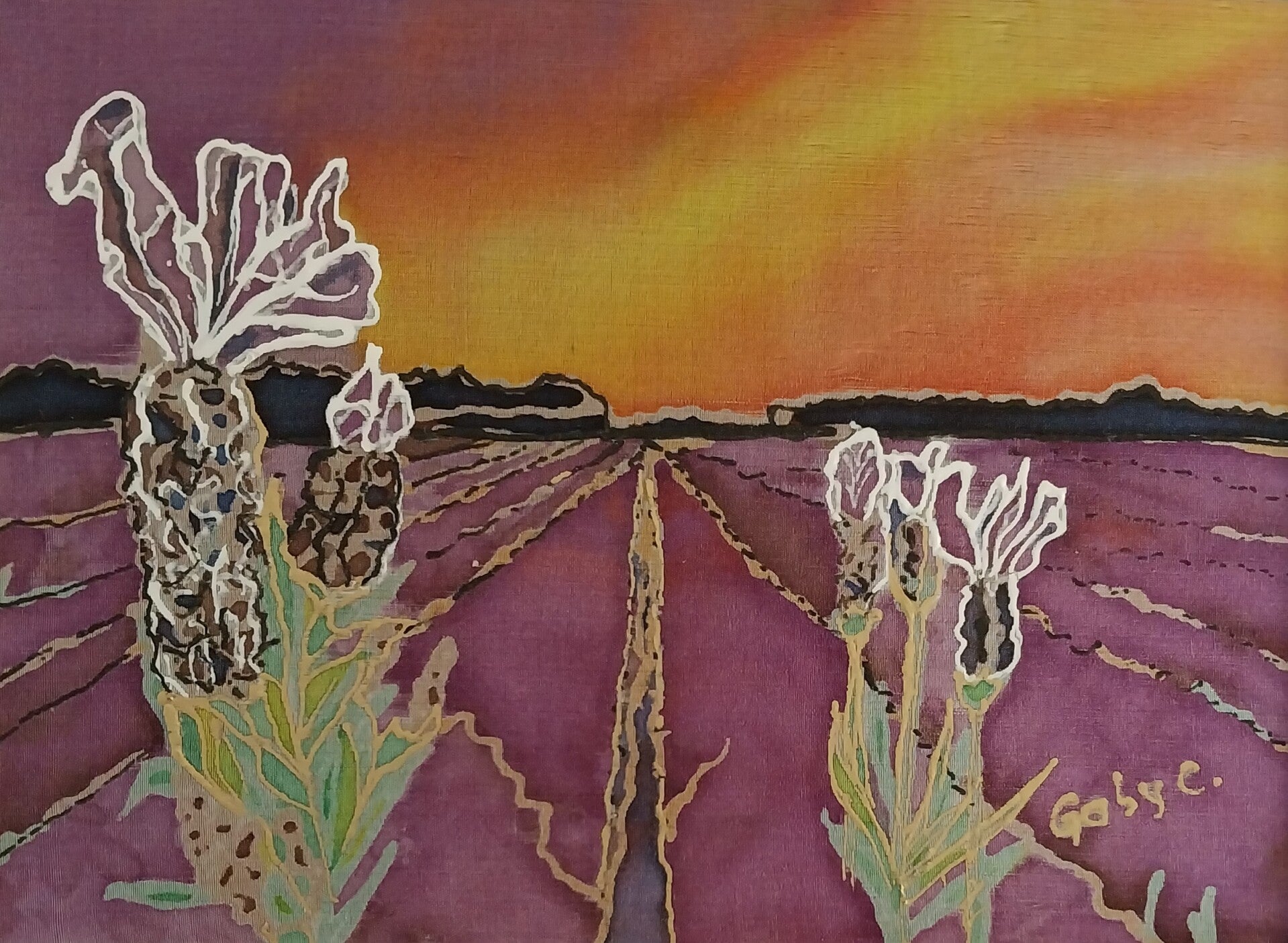 Lavender Fields