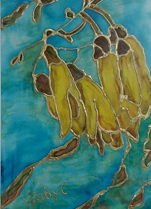 Kōwhai and the Sky
