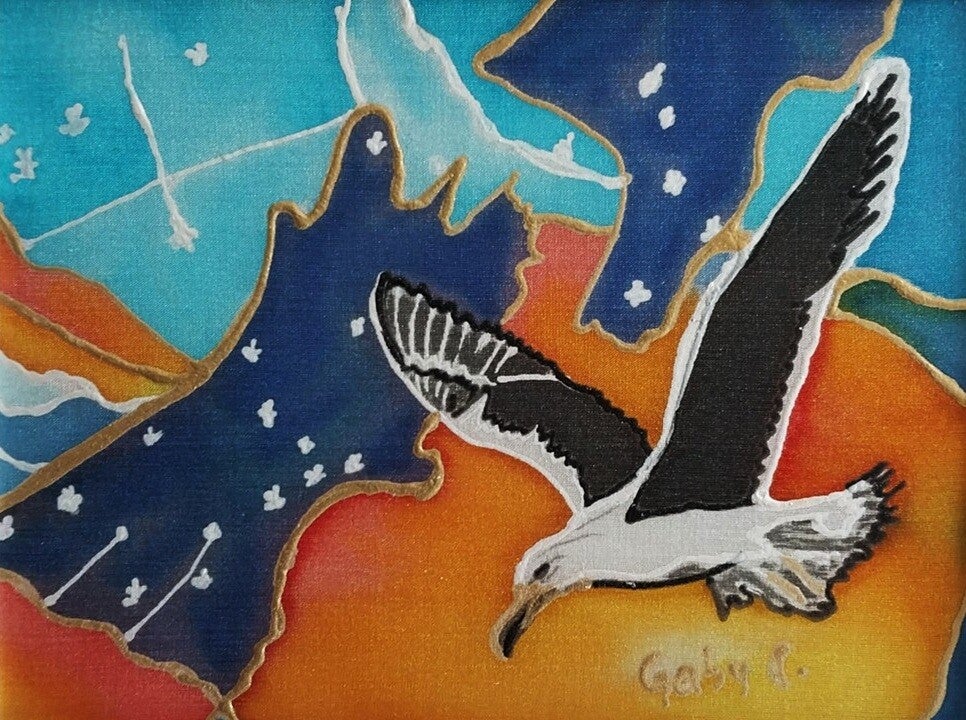 Albatross Flying