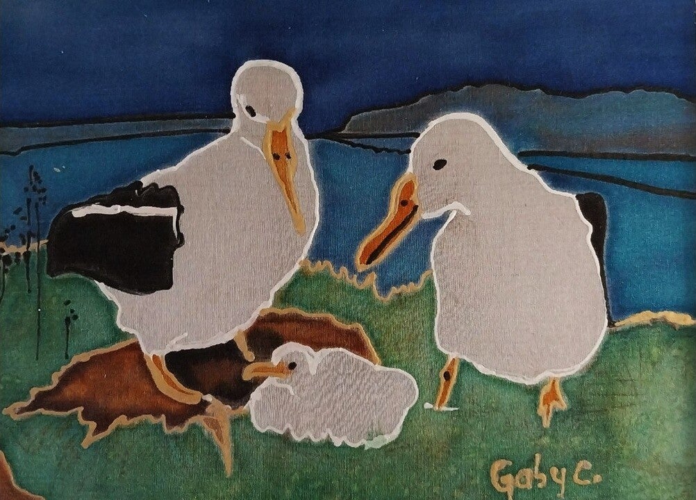 Albatross Family Near the Nest