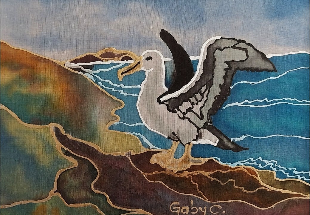 Albatross Ready to Fly