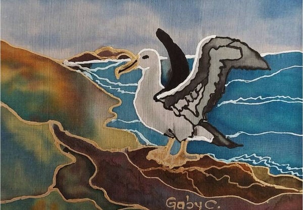 Albatross Ready to Fly