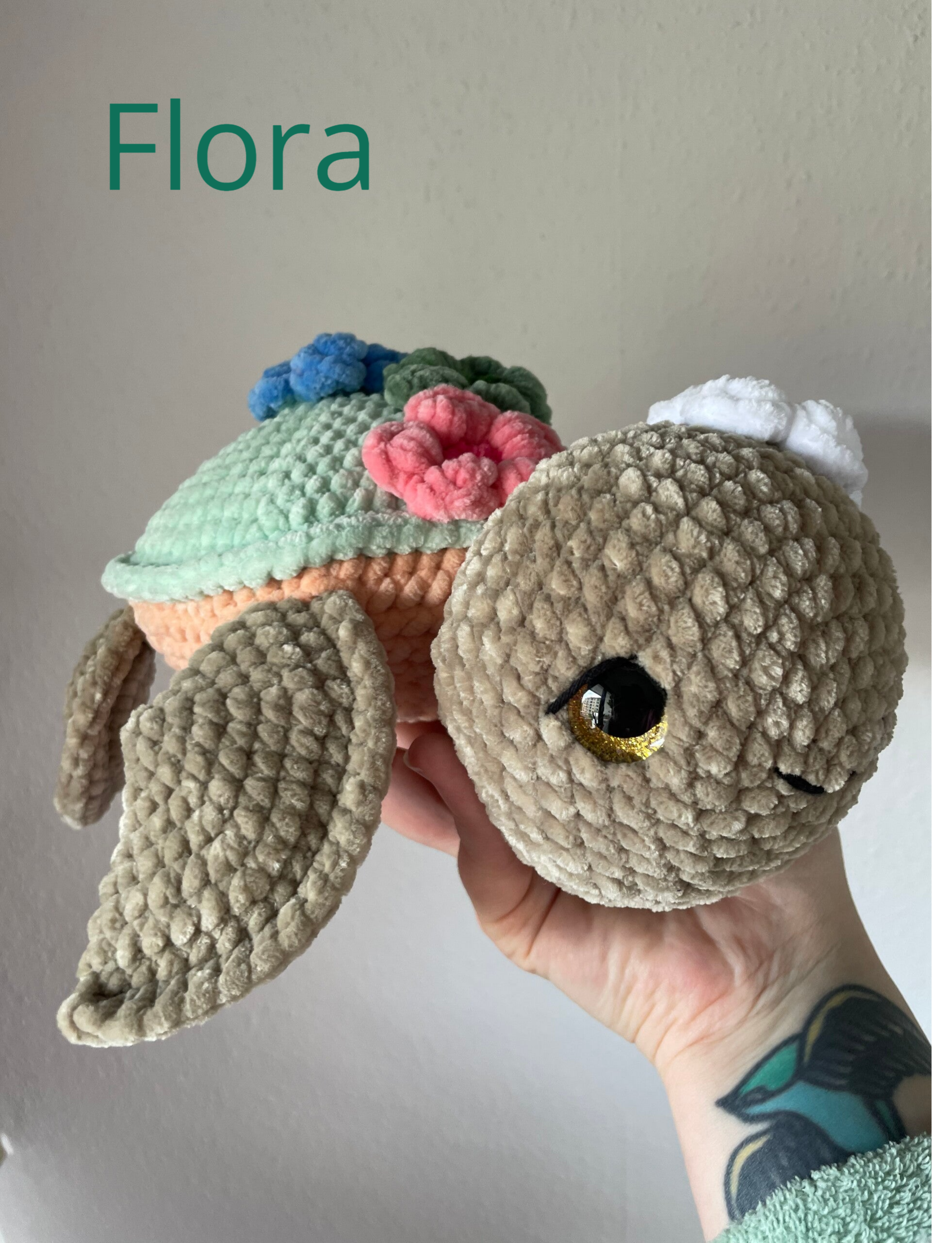 Schildkröten 🐢