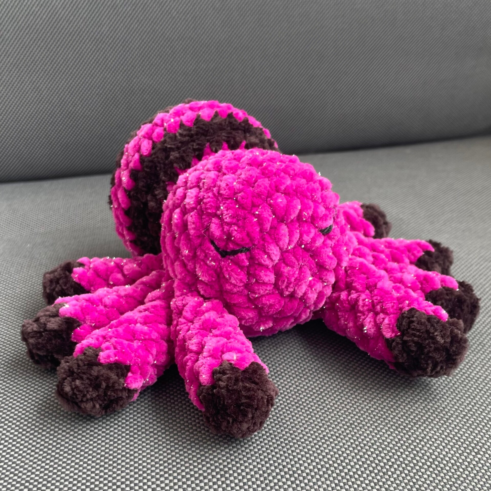 Klara die Springspinne