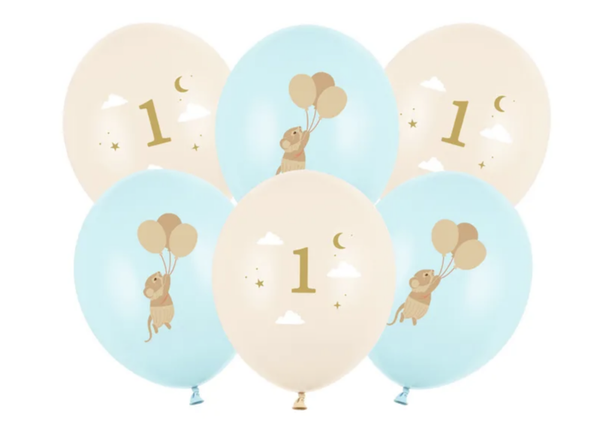 1 Jaar Ballonnenset Muisjes Blauw