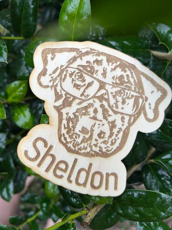 Personalized Pet Magnet