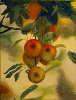 Titel: Appels Afmetingen werk: 30x40 Afmetingen lijst: 35x43 Techniek: Acryl op doek Prijs: op aanvraag