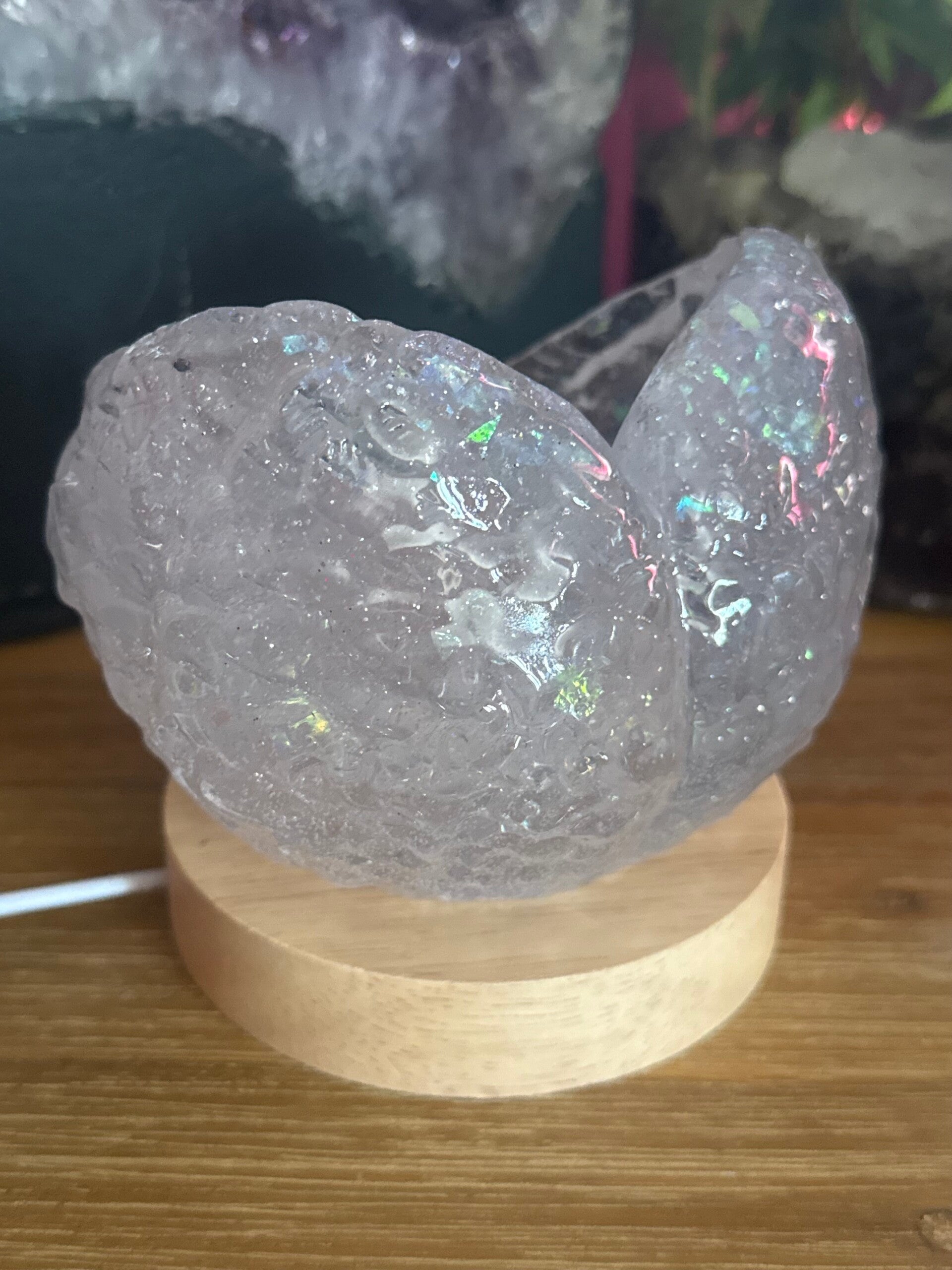 Les ailes d'Ange
