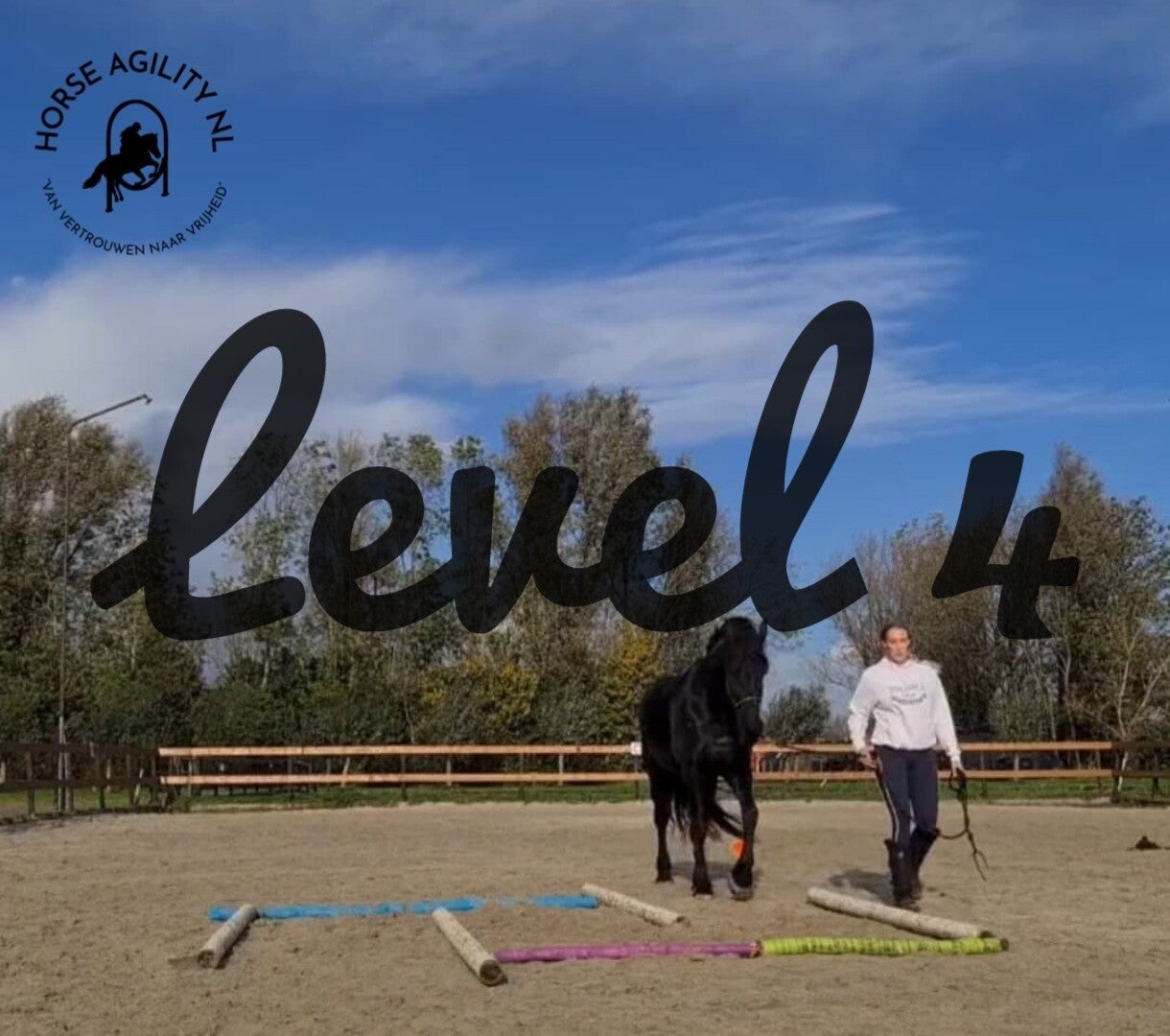 Level 4 online Agility