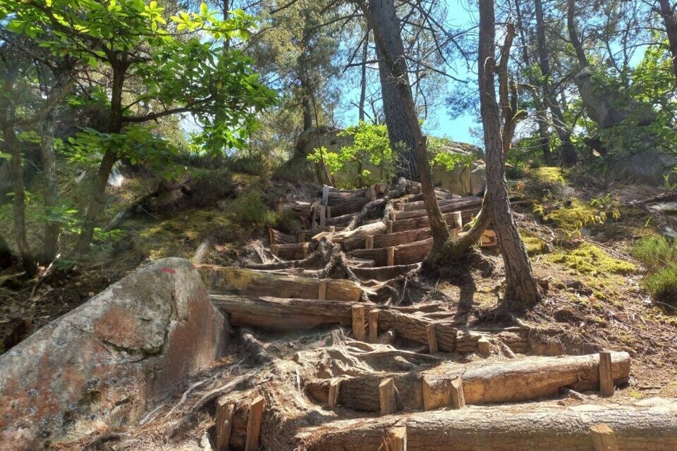 ​🌳 La Boucle des Druides et de la Roche Qui Pleure (6 km)