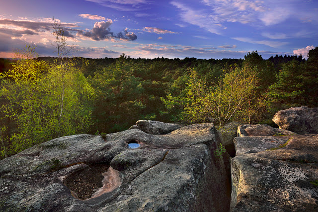 ​🌲 La Randonnée des Druides : Aux Sources du Mystère de Fontainebleau (2jours + dégustation traiteur)
