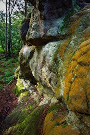 ​🧗 Randonnée Initiatique : Les Rochers du Mont Ussy (7 km)
