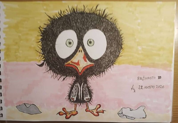 PAJAROTO III