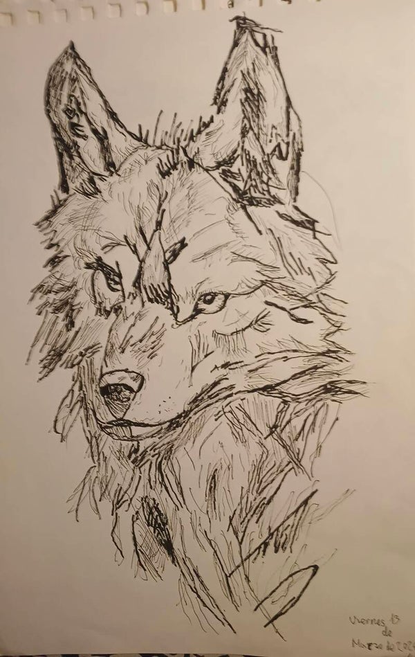 Wolf