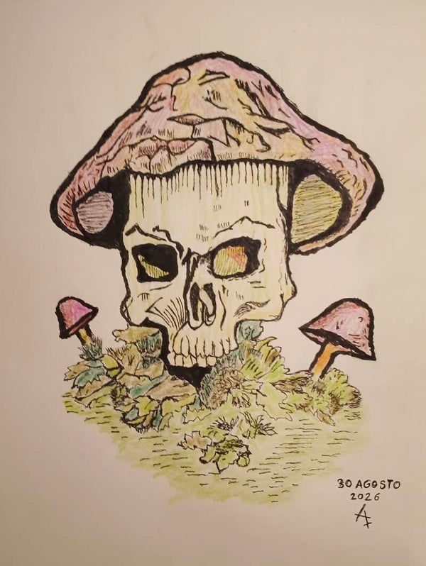 Seta mágica