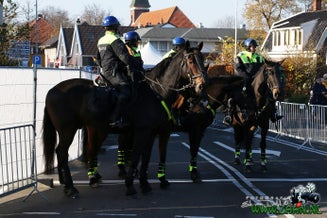 zaan0084.jpg