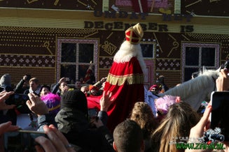 zaan0141-2.jpg