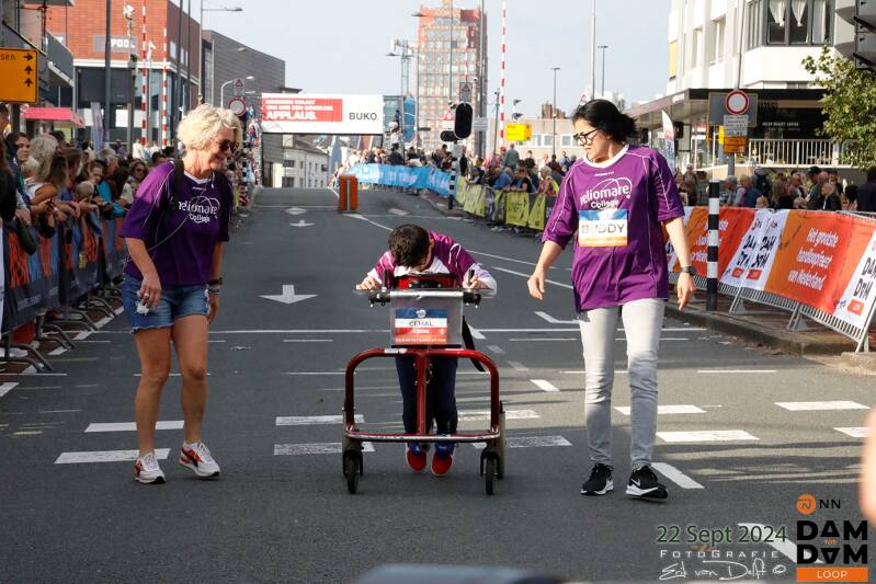 damtotdamloop4803-standard.jpg