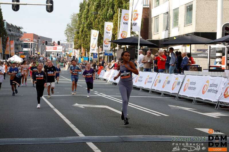 damtotdamloop4862-standard.jpg