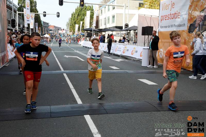 damtotdamloop4884-standard.jpg