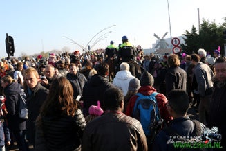 zaan0086-1.jpg