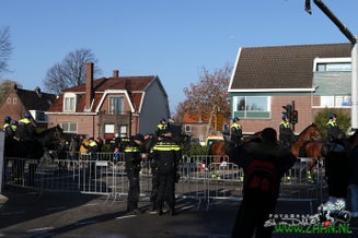 zaan0082-2.jpg