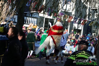 zaan0146-2.jpg