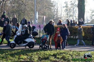 zaan0152-2.jpg