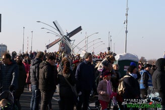 zaan0150-2.jpg